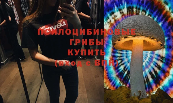 МДПВ Белокуриха