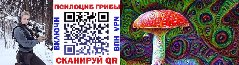 Галлюциногенные грибы Psilocybine cubensis  Бологое 